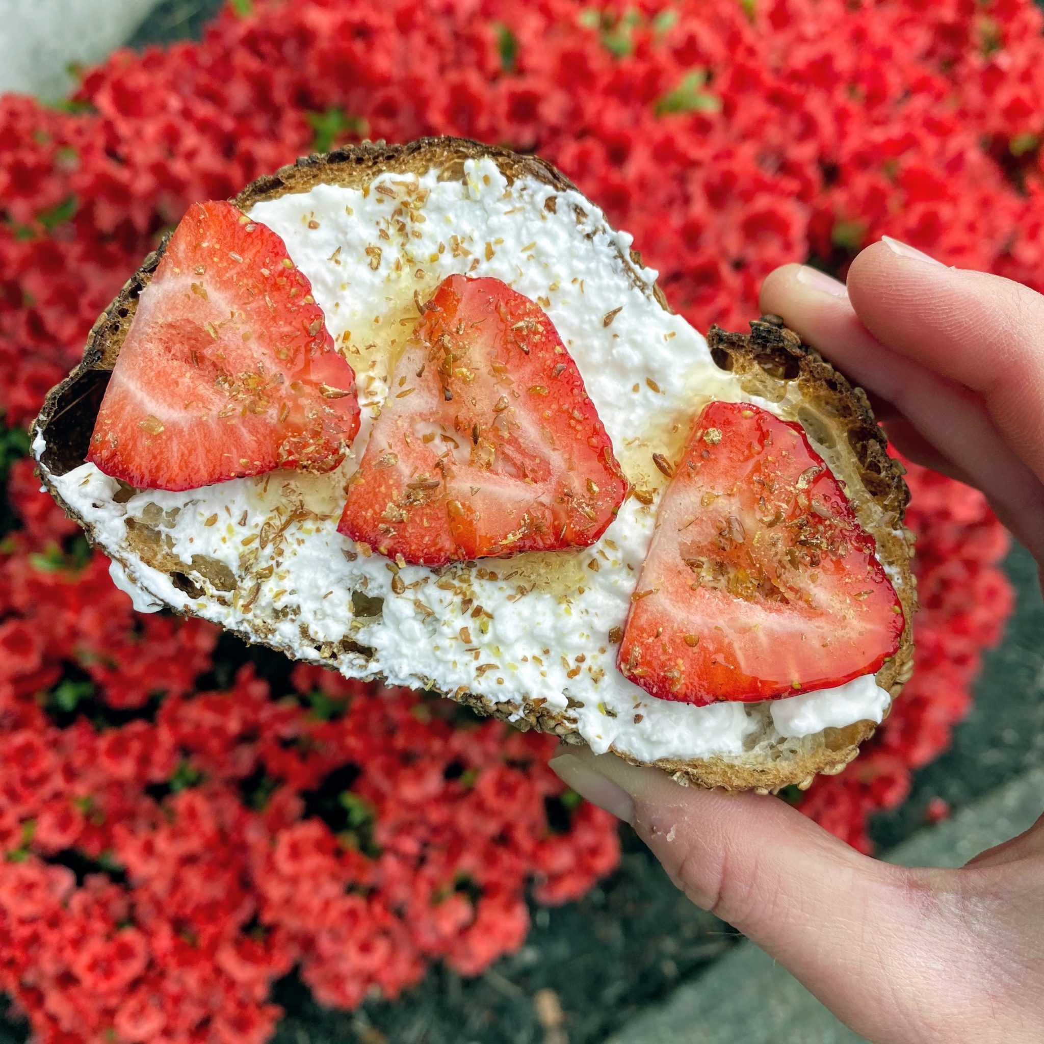 Strawberry Cottage Cheese ToastÂ