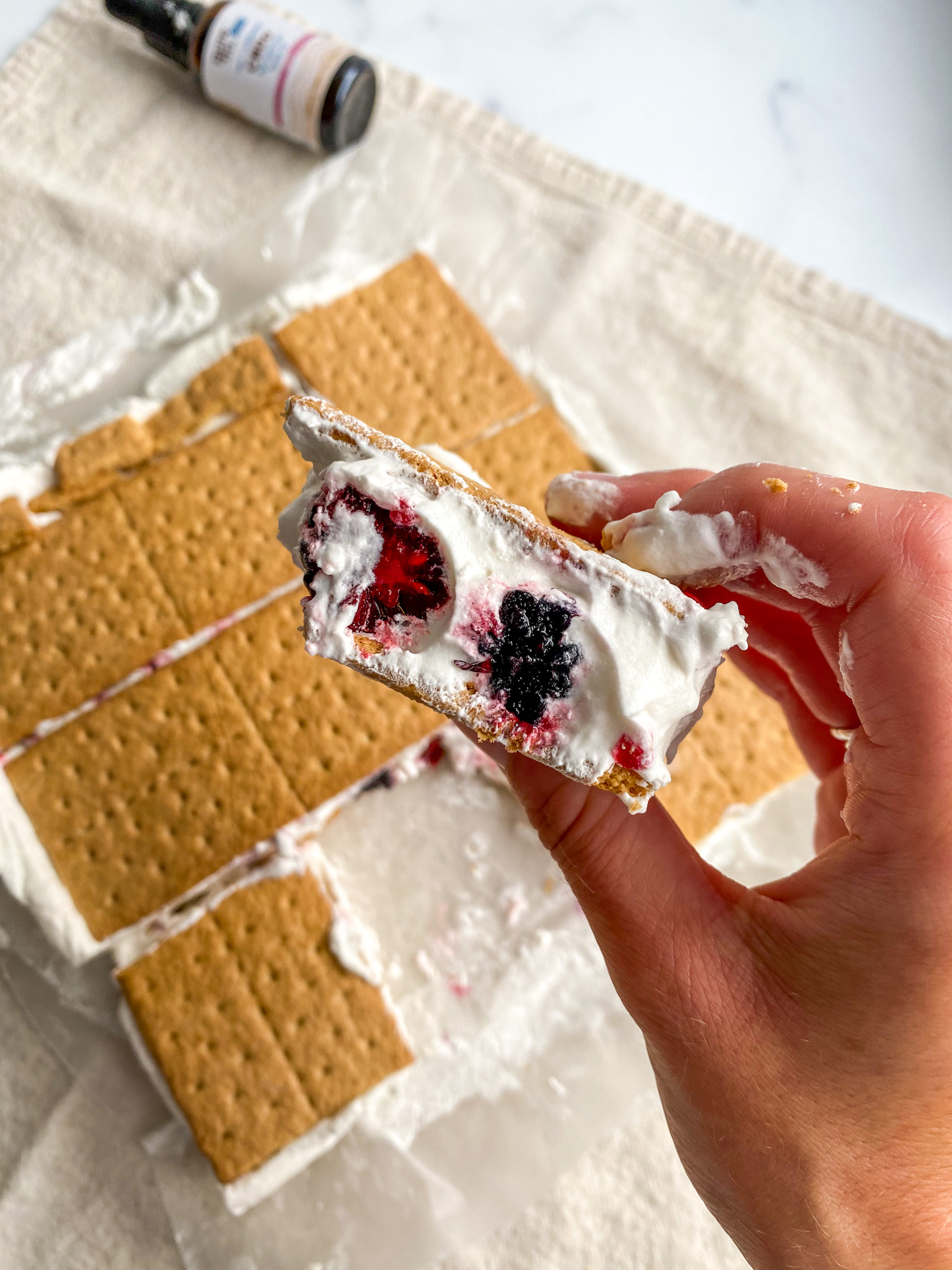 Mixed Berry Ice Cream Sandwiches